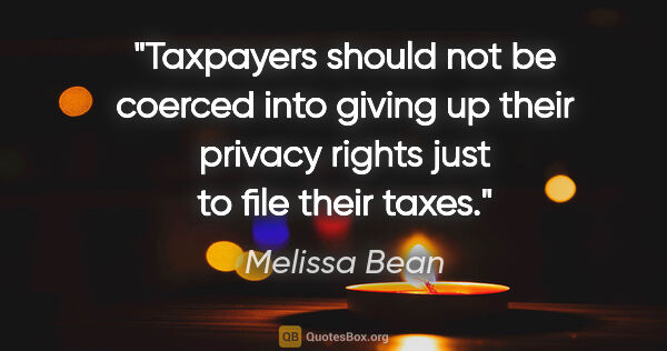 Melissa Bean quote: "Taxpayers should not be coerced into giving up their privacy..."