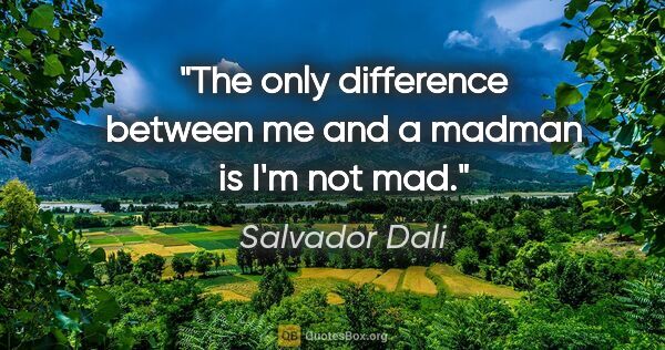 Salvador Dali quote: "The only difference between me and a madman is I'm not mad."