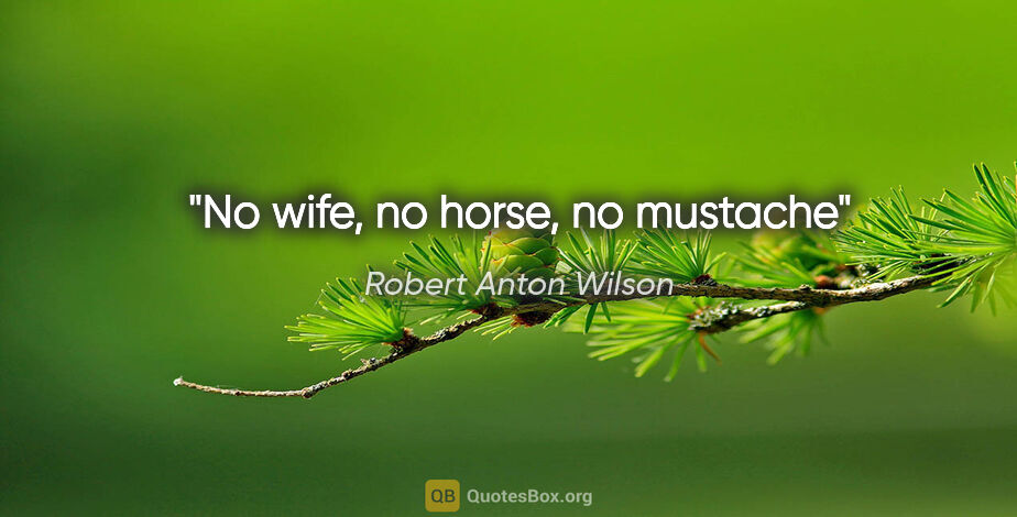 Robert Anton Wilson quote: "No wife, no horse, no mustache"