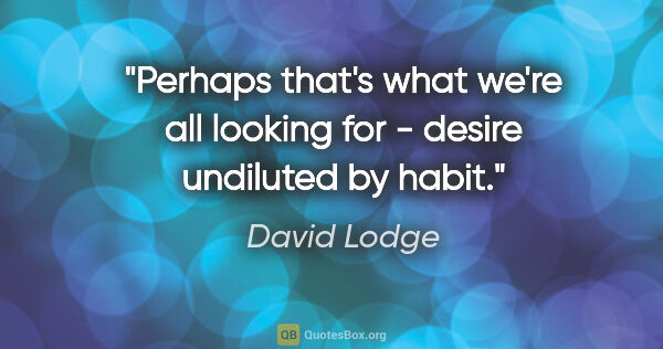 David Lodge quote: "Perhaps that's what we're all looking for - desire undiluted..."