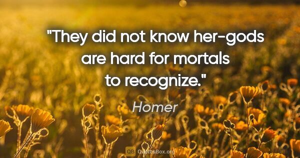 Homer quote: "They did not know her-gods are hard for mortals to recognize."