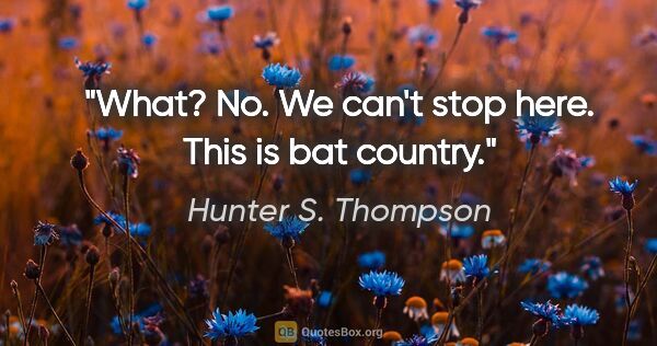 Hunter S. Thompson quote: "What? No. We can't stop here. This is bat country."