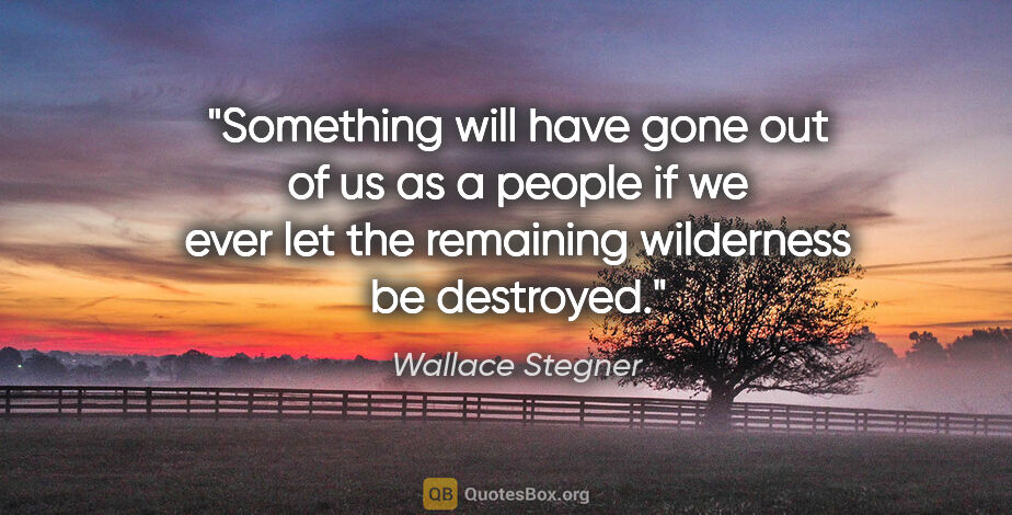 Wallace Stegner quote: "Something will have gone out of us as a people if we ever let..."