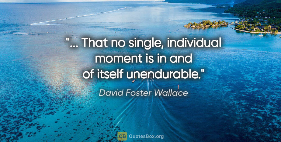 David Foster Wallace quote: " That no single, individual moment is in and of itself..."