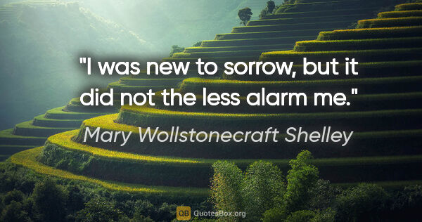 Mary Wollstonecraft Shelley quote: "I was new to sorrow, but it did not the less alarm me."