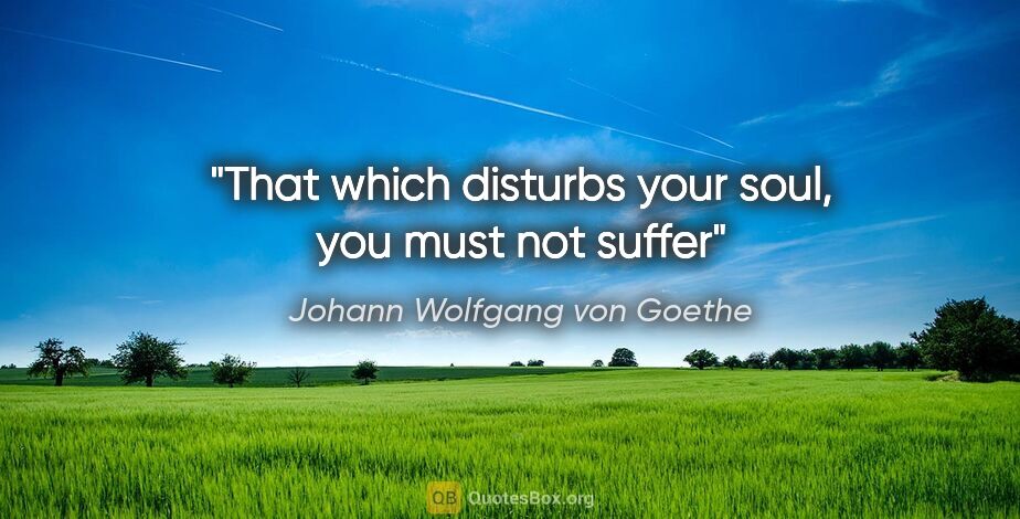 Johann Wolfgang von Goethe quote: "That which disturbs your soul, you must not suffer"