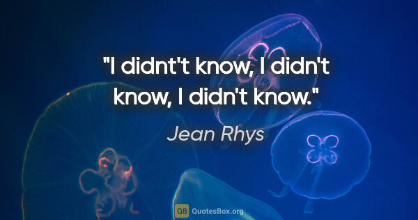 Jean Rhys quote: "I didnt't know, I didn't know, I didn't know."