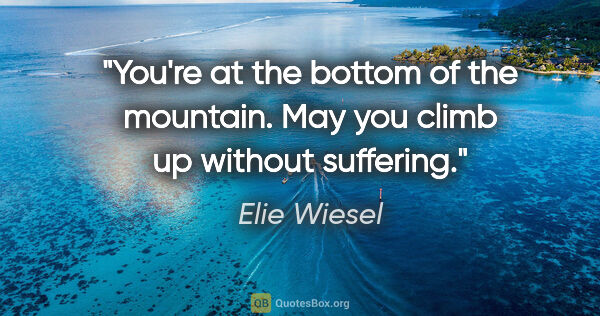 Elie Wiesel quote: "You're at the bottom of the mountain. May you climb up without..."