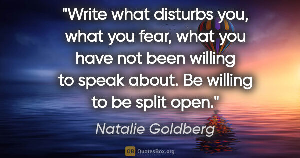 Natalie Goldberg quote: "Write what disturbs you, what you fear, what you have not been..."