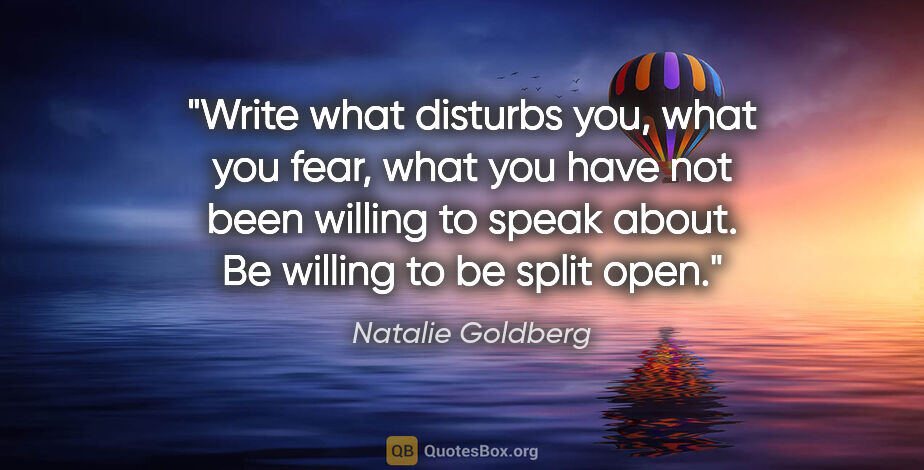 Natalie Goldberg quote: "Write what disturbs you, what you fear, what you have not been..."
