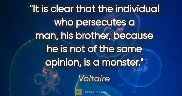 Voltaire quote: "It is clear that the individual who persecutes a man, his..."