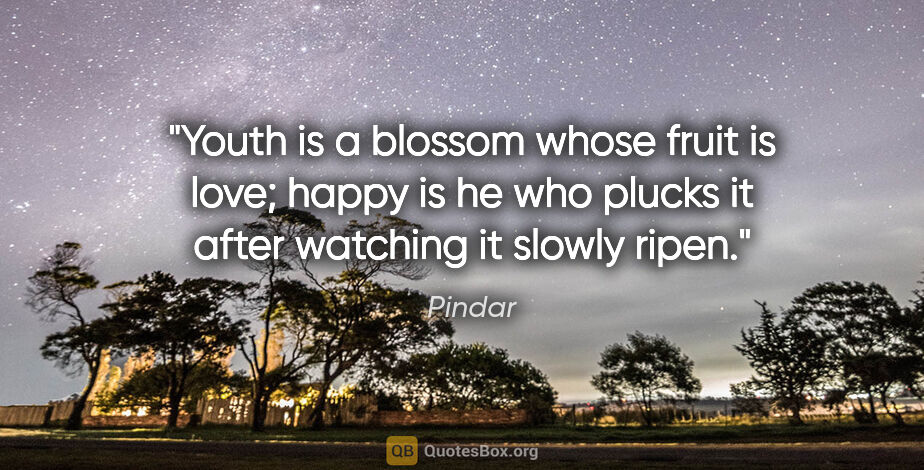 Pindar quote: "Youth is a blossom whose fruit is love; happy is he who plucks..."