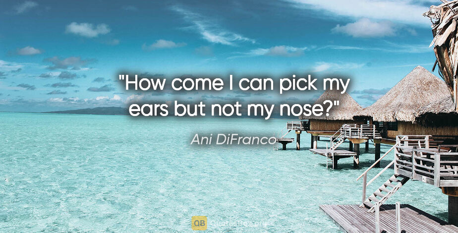 Ani DiFranco quote: "How come I can pick my ears but not my nose?"