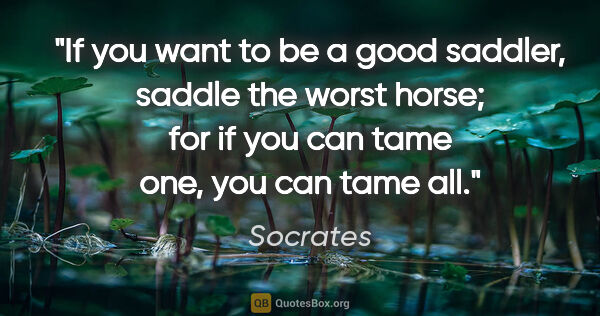 Socrates quote: "If you want to be a good saddler, saddle the worst horse; for..."