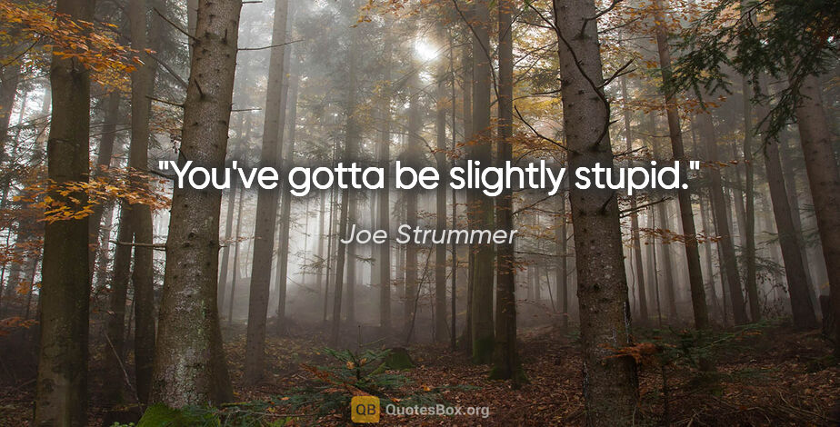 Joe Strummer quote: "You've gotta be slightly stupid."