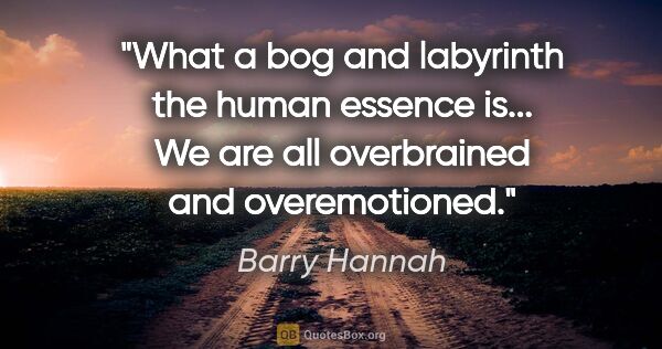 Barry Hannah quote: "What a bog and labyrinth the human essence is... We are all..."