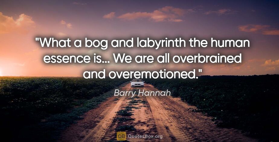 Barry Hannah quote: "What a bog and labyrinth the human essence is... We are all..."