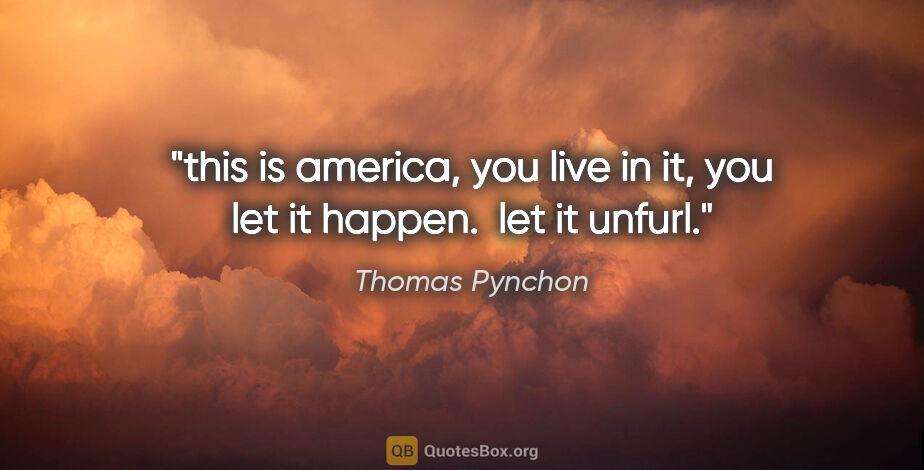 Thomas Pynchon quote: "this is america, you live in it, you let it happen.  let it..."