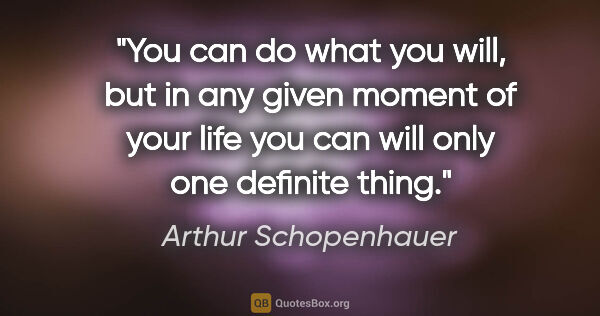 Arthur Schopenhauer quote: "You can do what you will, but in any given moment of your life..."