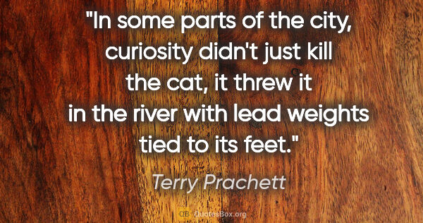 Terry Prachett quote: "In some parts of the city, curiosity didn't just kill the cat,..."