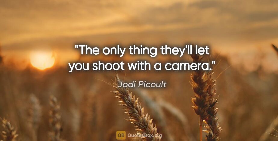 Jodi Picoult quote: "The only thing they'll let you shoot with a camera."