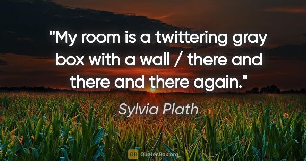 Sylvia Plath quote: "My room is a twittering gray box with a wall / there and there..."