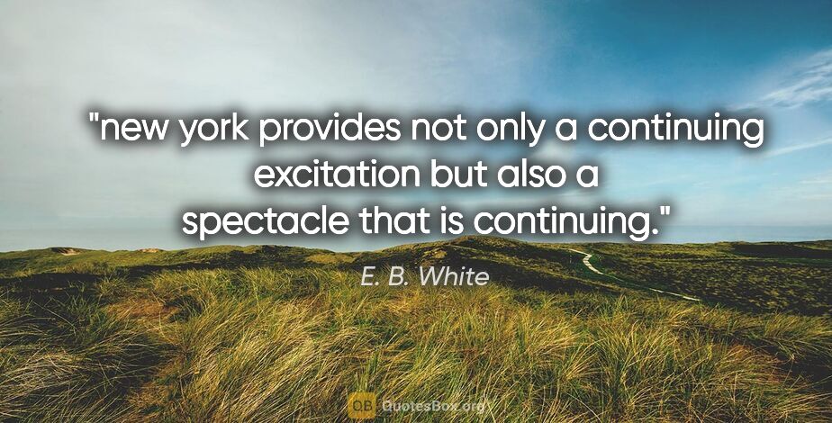 E. B. White quote: "new york provides not only a continuing excitation but also a..."