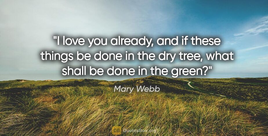 Mary Webb quote: "I love you already, and if these things be done in the dry..."