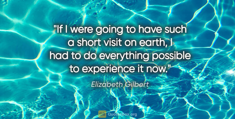 Elizabeth Gilbert quote: "If I were going to have such a short visit on earth, I had to..."