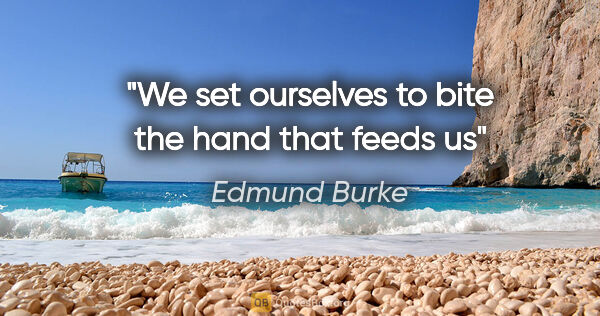 Edmund Burke quote: "We set ourselves to bite the hand that feeds us"