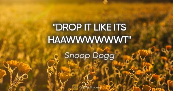 Snoop Dogg quote: "DROP IT LIKE ITS HAAWWWWWWT"
