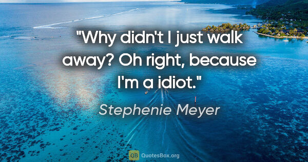 Stephenie Meyer quote: "Why didn't I just walk away? Oh right, because I'm a idiot."