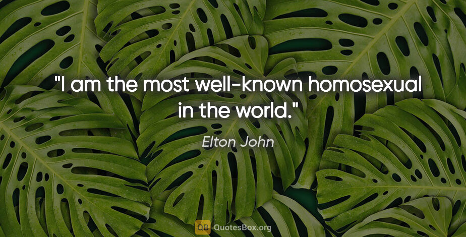 Elton John quote: "I am the most well-known homosexual in the world."