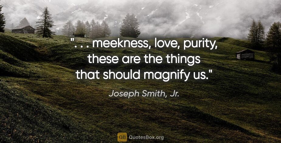 Joseph Smith, Jr. quote: " . . meekness, love, purity, these are the things that should..."