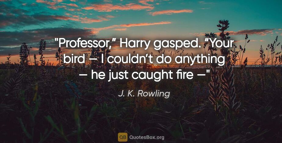 J. K. Rowling quote: "Professor,” Harry gasped. “Your bird — I couldn’t do anything..."