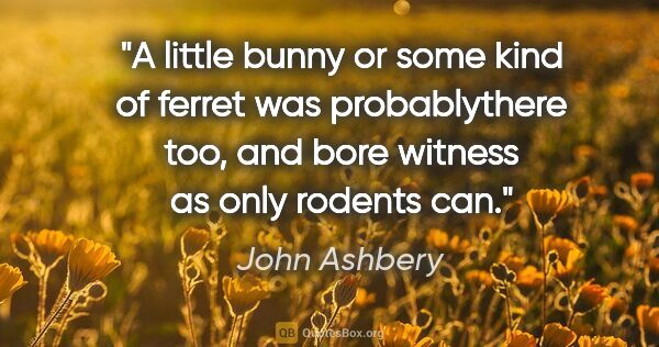 John Ashbery quote: "A little bunny or some kind of ferret was probablythere too,..."