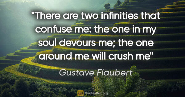 Gustave Flaubert quote: "There are two infinities that confuse me: the one in my soul..."