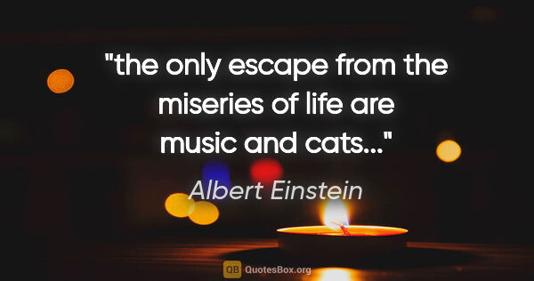 Albert Einstein quote: "the only escape from the miseries of life are music and cats..."