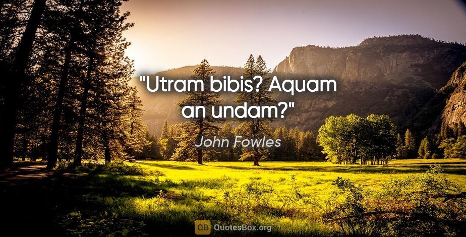 John Fowles quote: "Utram bibis? Aquam an undam?"