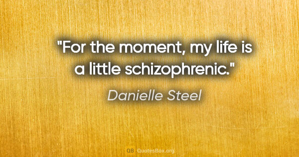 Danielle Steel quote: "For the moment, my life is a little schizophrenic."