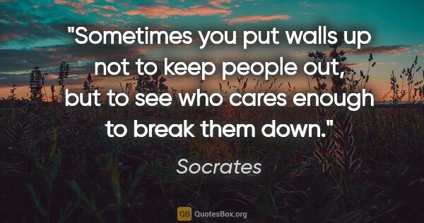 Socrates quote: "Sometimes you put walls up not to keep people out, but to see..."