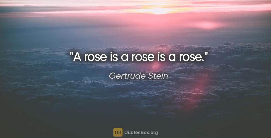 Gertrude Stein quote: "A rose is a rose is a rose."