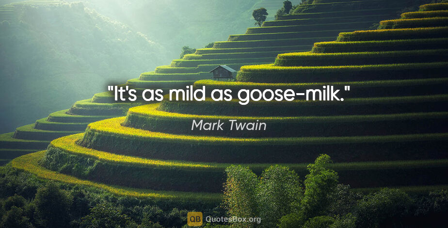 Mark Twain quote: "It's as mild as goose-milk."
