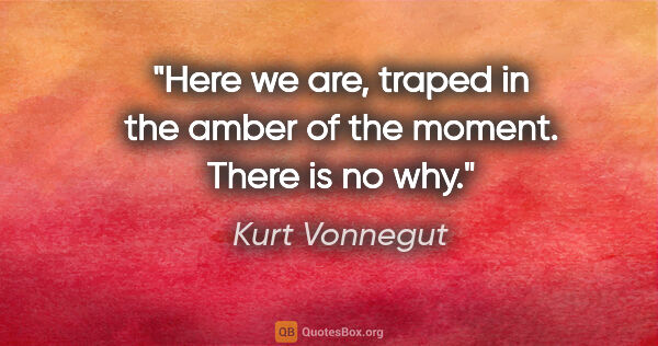 Kurt Vonnegut quote: "Here we are, traped in the amber of the moment. There is no why."