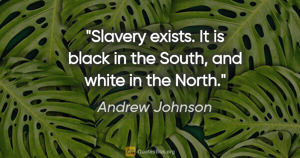 Andrew Johnson quote: "Slavery exists. It is black in the South, and white in the North."