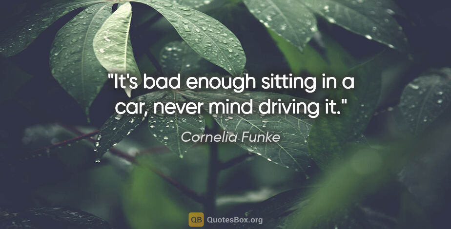 Cornelia Funke quote: "It's bad enough sitting in a car, never mind driving it."