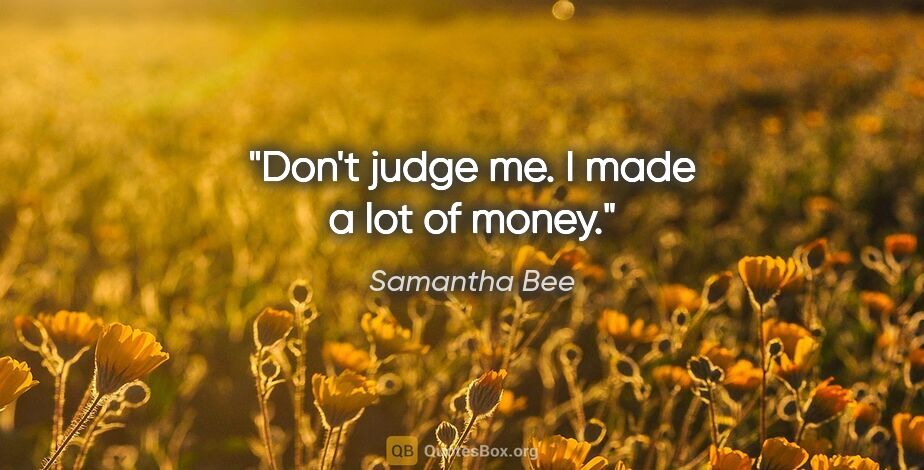 Samantha Bee quote: "Don't judge me. I made a lot of money."