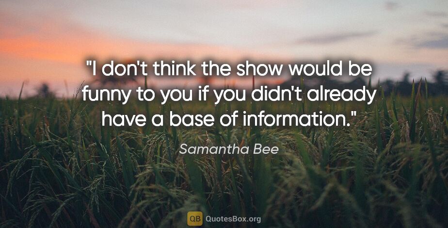 Samantha Bee quote: "I don't think the show would be funny to you if you didn't..."