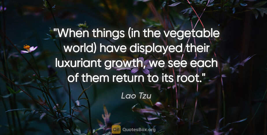 Lao Tzu quote: "When things (in the vegetable world) have displayed their..."