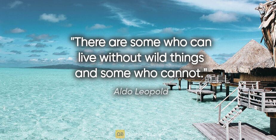 Aldo Leopold quote: "There are some who can live without wild things and some who..."